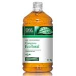 Ficha técnica e caractérísticas do produto Gel de Contato Ecofloral, D'agua Natural, 1, 1 Kg