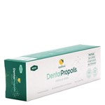 Ficha técnica e caractérísticas do produto Gel Dental de Própolis Verde (Sem Flúor e com Abrasivo) 80g - Apis Brasil