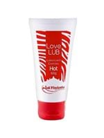 Ficha técnica e caractérísticas do produto Gel Lubrificante Love Lub Hot 60G