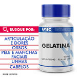 Ficha técnica e caractérísticas do produto Gelatina 500mg 60cáps