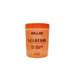 Ficha técnica e caractérísticas do produto Gelatina Capilar Salles Profissional 1 Kg