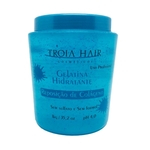 Ficha técnica e caractérísticas do produto Gelatina Capilar Tróia Hair Repositor De Colageno 1kg