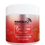 Ficha técnica e caractérísticas do produto Gelatina Nutritiva Hidratante Capilar Repositora de Colágeno Paiolla 500g