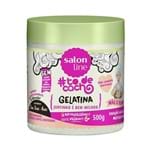 Ficha técnica e caractérísticas do produto Gelatina Salon Line Mãe e Filha #todecacho 500g