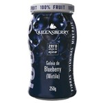Ficha técnica e caractérísticas do produto Geleia 100% Fruta - Blueberry (mirtilo)
