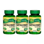 Ficha técnica e caractérísticas do produto Gengibre com Chá Verde 120 Comprimidos 400mg Unilife Kit 3un
