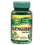Ficha técnica e caractérísticas do produto Gengibre com Chá Verde 120 Comprimidos Unilife Vitamins