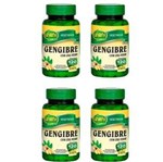 Ficha técnica e caractérísticas do produto Gengibre com Chá Verde - 4x 120 Comprimidos - Unilife