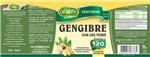 Ficha técnica e caractérísticas do produto Gengibre Com Chá Verde Unilife 60 Cápsulas