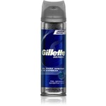Ficha técnica e caractérísticas do produto Gillette - Gel de Barbear Sensitive Skin - 198g