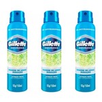 Ficha técnica e caractérísticas do produto Gillette Ultime Fresh Desodorante Aerosol Jato Seco 150ml (Kit C/03)