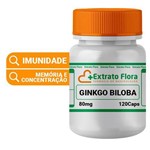 Ficha técnica e caractérísticas do produto Ginkgo Biloba 80mg 120 Cápsulas Extrato Seco