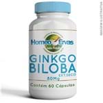 Ficha técnica e caractérísticas do produto Ginkgo Biloba Extrato Seco 80Mg - 60 Cápsulas
