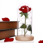 Ficha técnica e caractérísticas do produto Glass Cover Internal Rose DIY Decoration Lamp