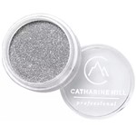 Ficha técnica e caractérísticas do produto Glitter Fino Prata Claro 4g - Catharine Hill