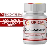 Ficha técnica e caractérísticas do produto Glucosamina 500Mg 90 Cápsulas