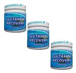 Ficha técnica e caractérísticas do produto Glutamina Recovery 300g Performance 3x