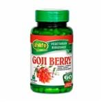 Ficha técnica e caractérísticas do produto Goji Berry + Vitamina C - Unilife - 60 Cápsulas de 500mg