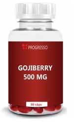 Ficha técnica e caractérísticas do produto Gojiberry 500 Mg 30 Cápsulas