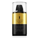Ficha técnica e caractérísticas do produto Golden Secret Antonio Banderas Body Spray 250ml