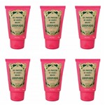 Ficha técnica e caractérísticas do produto Granado Pink Protetor Calos e Bolhas Gel 45g (Kit C/06)