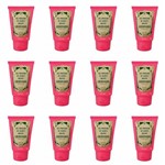 Ficha técnica e caractérísticas do produto Granado Pink Protetor Calos e Bolhas Gel 45g (Kit C/12)