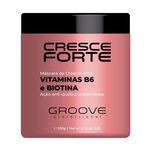 Ficha técnica e caractérísticas do produto Groove Professional Máscara De Crescimento Cresce Forte 500g