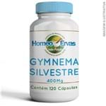 Ficha técnica e caractérísticas do produto Gymnema Silvestre 400Mg - 120 Cápsulas