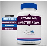 Ficha técnica e caractérísticas do produto Gymnema Silvestre 500mg- Inibe o Desejo por Doces