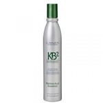 Ficha técnica e caractérísticas do produto Hair Repair Protein Plus Shampoo KB2 - LANZA