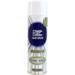 Ficha técnica e caractérísticas do produto Hby Hair Spray