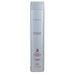 Ficha técnica e caractérísticas do produto Healing Color Care Shampoo Silver Brightening - 300 Ml