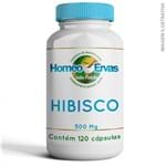 Ficha técnica e caractérísticas do produto Hibisco 500Mg - 120 Cápsulas