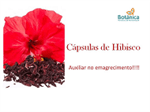 Ficha técnica e caractérísticas do produto Hibiscus 300mg 60 Cápsulas