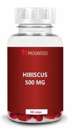Ficha técnica e caractérísticas do produto Hibiscus 500 Mg 30 Cápsulas