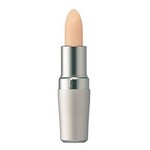 Ficha técnica e caractérísticas do produto Hidratante Labial Protective Lip Conditioner 4g Shiseido