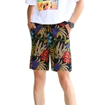 Ficha técnica e caractérísticas do produto Homens Verão Fina Shorts Impressão Pants Quinta para Beach Wear