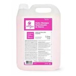 Ficha técnica e caractérísticas do produto Hydra Shampoo Neutralizador de Odores