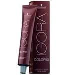 Ficha técnica e caractérísticas do produto Igora Color10 ColoraçÁo 60g - 6.99 Louro Escuro Violeta Extra - Tricae