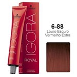 Ficha técnica e caractérísticas do produto Igora Royal 6-88 Louro Escuro Vermelho Extra