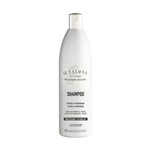 Ficha técnica e caractérísticas do produto IL Salone Brilho e Vitalidade Shampoo 500ml - Alfaparf