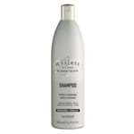 Ficha técnica e caractérísticas do produto Il Salone Brilho e Vitalidade - Shampoo 500ml