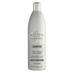 Ficha técnica e caractérísticas do produto IL Salone Brilho e Vitalidade Shampoo 500ml