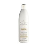 Ficha técnica e caractérísticas do produto IL Salone Nutrição e Proteção Shampoo 500ml