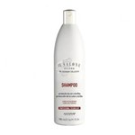 Ficha técnica e caractérísticas do produto IL Salone Proteção Cor e Brilho Shampoo 500ml