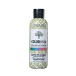 Ficha técnica e caractérísticas do produto Inoar Color System Shampoo Pós-Coloração - 250ml