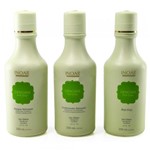 Inoar Gengibre Fresh Ginger Kit Shampoo, Condicionador e Anti-Frizz 3x250ml - Inoar