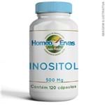 Ficha técnica e caractérísticas do produto Inositol 500 Mg - 120 Cápsulas