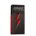 Ficha técnica e caractérísticas do produto Intense For Men Eau de Toilette Animale - Perfume Masculino - 100ml - 100ml