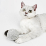 Ficha técnica e caractérísticas do produto Interativo Engraçado Teaser Catnip Cápsula Bola De Lã Falso Catmint Mastigar Pet Toy